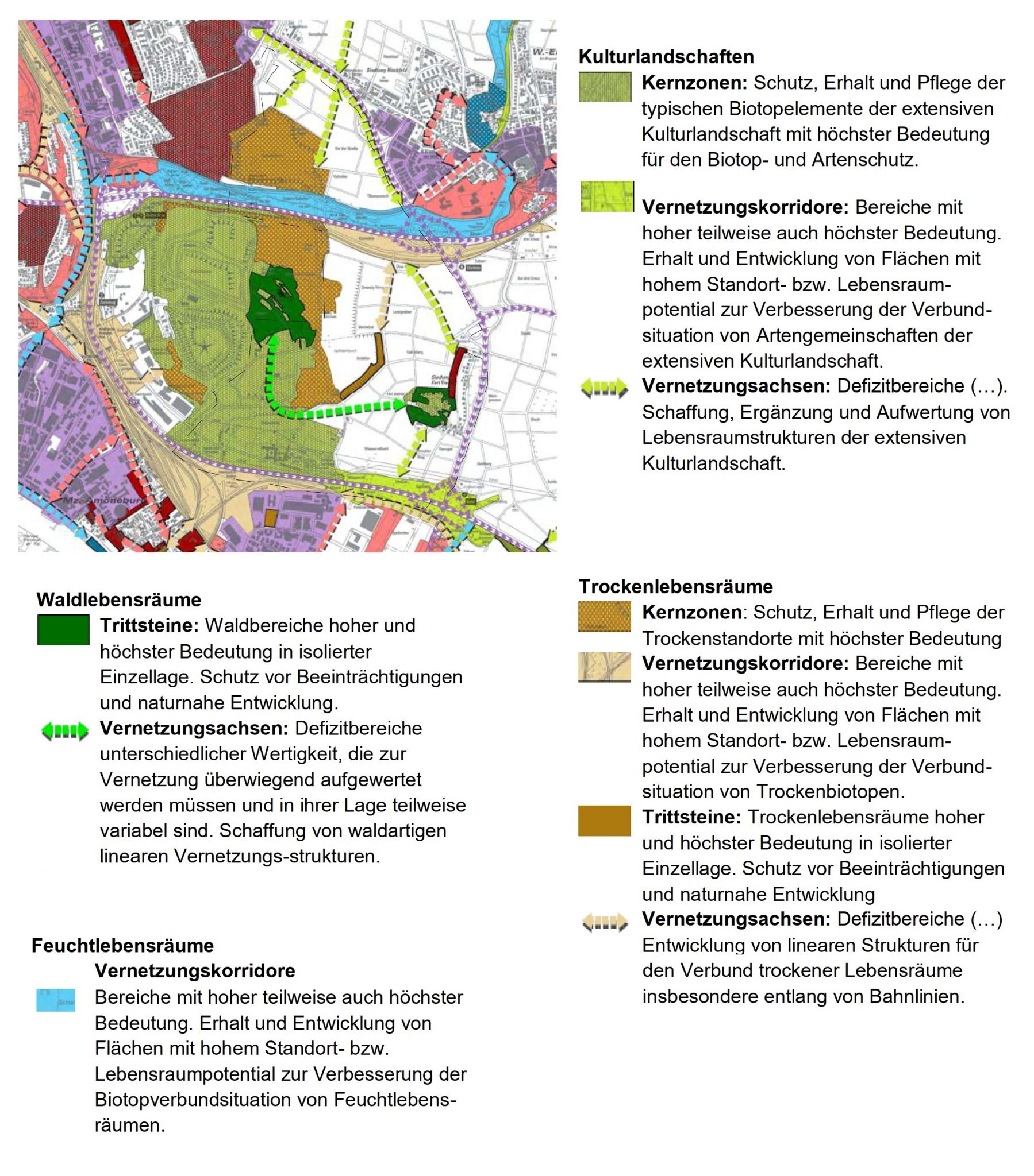 Biotope auf dem Ostfeld - Bündnis Stadtklima Mainz-Wiesbaden Biotope auf dem Ostfeld - Bündnis Stadtklima Mainz-Wiesbaden