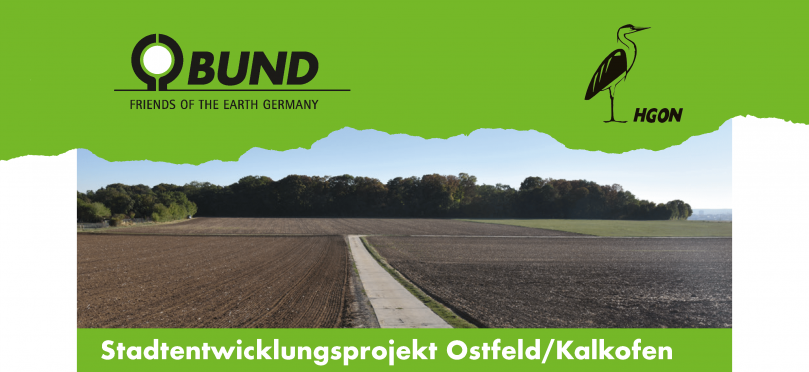Naturschutzverbände HGON/BUND kritisieren: Bedarf für die Bebauung des Ostfelds nicht belegt!