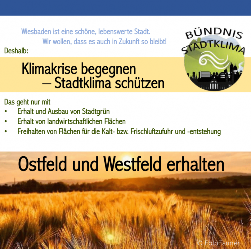 Ostfeld-Westfeld Update Nr. 21 vom 14. Juni 2022