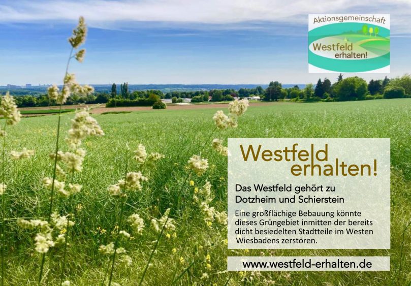 Ostfeld-Westfeld Update Nr. 23 vom 27. Juli 2022