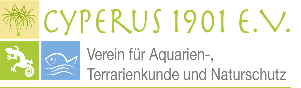 logo-cyperus-1901-eV