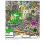 Bemerkenswerte Tierarten im Südteil des Projektgebiets Bemerkenswerte Tierarten im Südteil des Projektgebiets