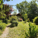 Das alte Vereinshaus, Cyperusgelände Das alte Vereinshaus, Cyperusgelände, Stefan Büchel