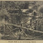 Reizvolle Brücke in der Freilandanlage Cyperus, 1934 Reizvolle Brücke in der Freilandanlage Cyperus, 1934, Cyperus Archiv