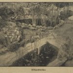 Fischweiher im Cyperuspark, 1934 Fischweiher im Cyperuspark, 1934, Cyperus Archiv