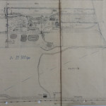 Lageplanskizze der Freilandanlage mit Schuttplatz Lageplanskizze der Freilandanlage mit Schuttplatz, Cyperus Archiv