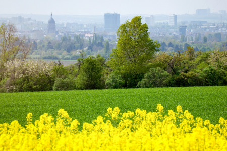 Mainz_Kastel_Wiesbaden_Ostfeld Mainz_Kastel_Wiesbaden_Ostfeld
