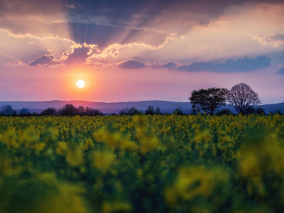 Mainz_Kastel_Wiesbaden_Ostfeld Mainz_Kastel_Wiesbaden_Ostfeld