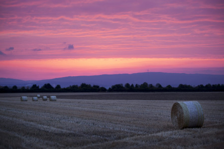Mainz_Kastel_Wiesbaden_Ostfeld Mainz_Kastel_Wiesbaden_Ostfeld