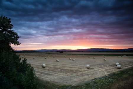 Mainz_Kastel_Wiesbaden_Ostfeld Mainz_Kastel_Wiesbaden_Ostfeld