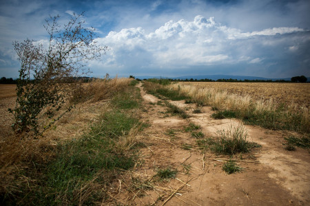 Mainz_Kastel_Wiesbaden_Ostfeld Mainz_Kastel_Wiesbaden_Ostfeld