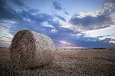 Mainz_Kastel_Wiesbaden_Ostfeld Mainz_Kastel_Wiesbaden_Ostfeld