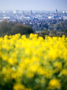 Mainz_Kastel_Wiesbaden_Ostfeld Mainz_Kastel_Wiesbaden_Ostfeld