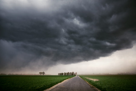 Mainz_Kastel_Wiesbaden_Ostfeld Mainz_Kastel_Wiesbaden_Ostfeld