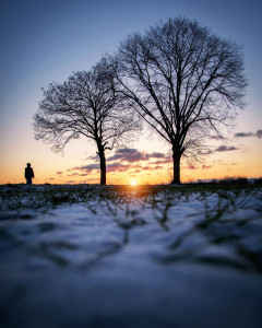 Mainz_Kastel_Wiesbaden_Ostfeld Mainz_Kastel_Wiesbaden_Ostfeld