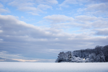 Mainz_Kastel_Wiesbaden_Ostfeld Mainz_Kastel_Wiesbaden_Ostfeld