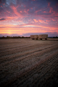Mainz_Kastel_Wiesbaden_Ostfeld Mainz_Kastel_Wiesbaden_Ostfeld
