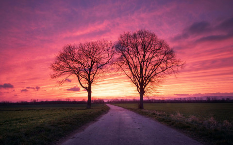 Mainz_Kastel_Wiesbaden_Ostfeld Mainz_Kastel_Wiesbaden_Ostfeld